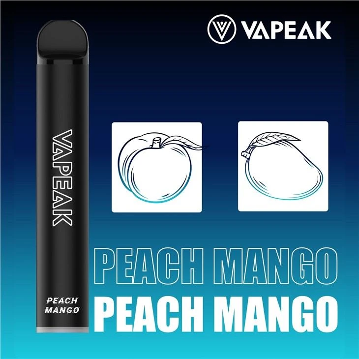 1500puffs Mesh Coil Disposable E-cig 1500puffs Mesh Coil Disposable E-cig