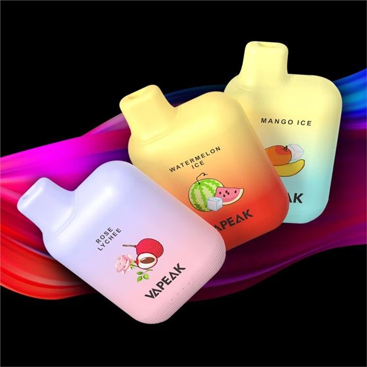 5000 Puffs Disposable Electronic Vape 5000 Puffs Disposable Electronic Vape