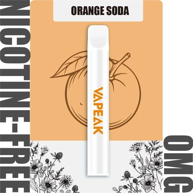 Disposable Electronic Cigarette 600 Puffs Disposable Electronic Cigarette 600 Puffs