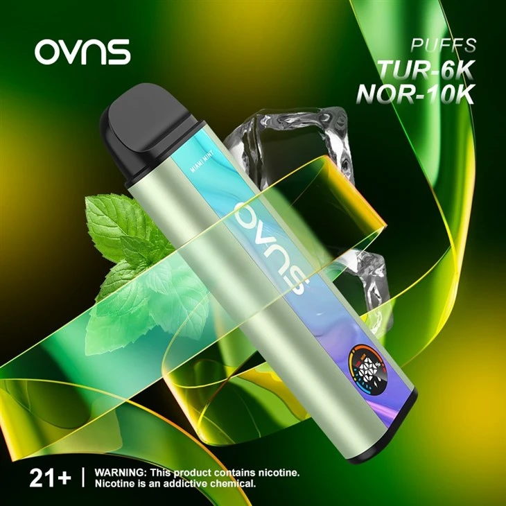 10000 Puffs Dual Mesh Coil Disposable Vape